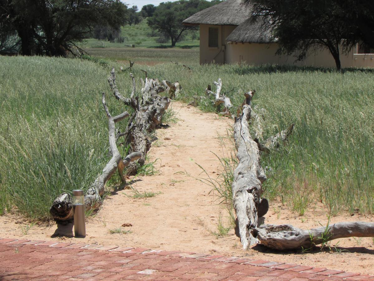 Kalahari Game Lodge Koës Εξωτερικό φωτογραφία